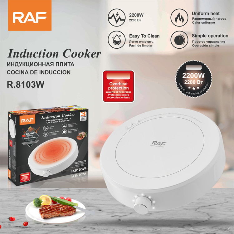 اجاق برقی القایی راف مدل R-8103